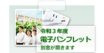 平成22年度電子パンフレット