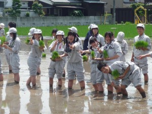 みんなで協力します