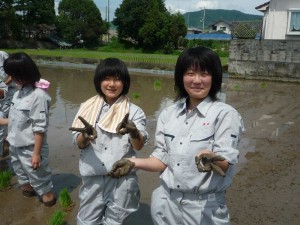 がんばっています！