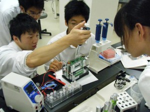 無細胞ｾﾝﾀｰ実験