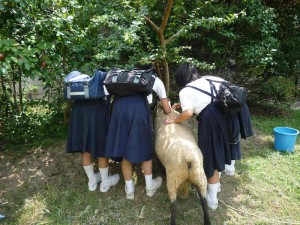 学校説明会・校内見学