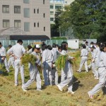 inekari045_R
